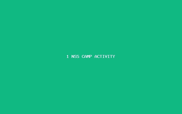 NSS Camp Activity